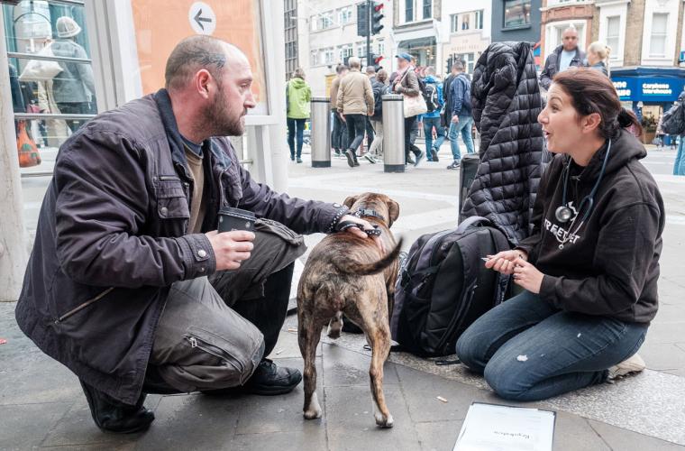 Street Vet treating Sky