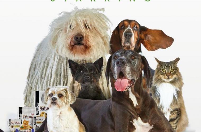 Webbox Natural, what my dog eats, Campaign